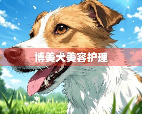 博美犬美容护理