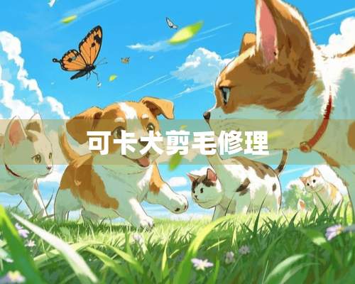 可卡犬剪毛修理