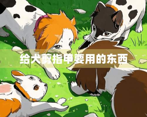 给犬剪指甲要用的东西