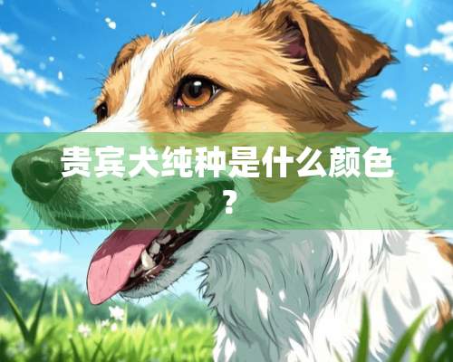 贵宾犬纯种是什么颜色？