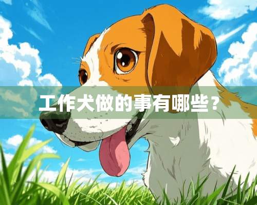 工作犬做的事有哪些？