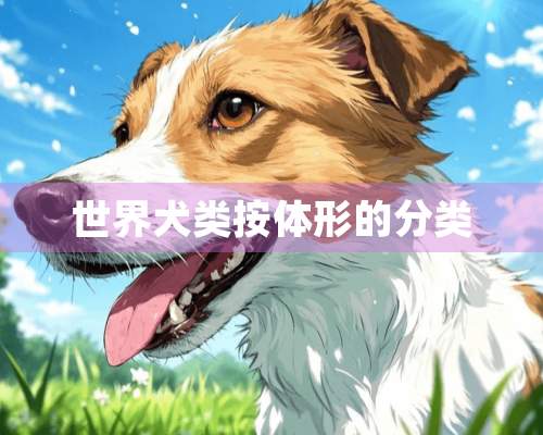 世界犬类按体形的分类