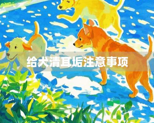 给犬清耳垢注意事项