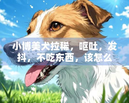 小博美犬拉稀，呕吐，发抖，不吃东西，该怎么办啊？