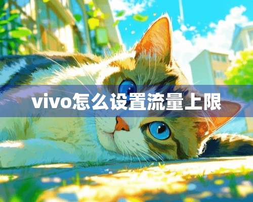 vivo怎么设置流量上限