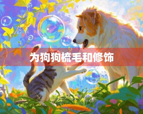 为狗狗梳毛和修饰