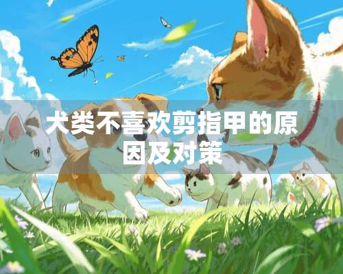 犬类不喜欢剪指甲的原因及对策