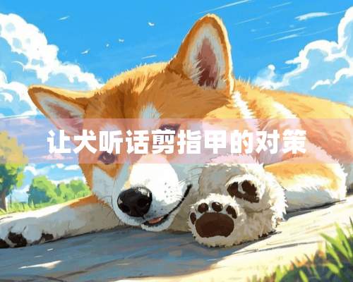 让犬听话剪指甲的对策