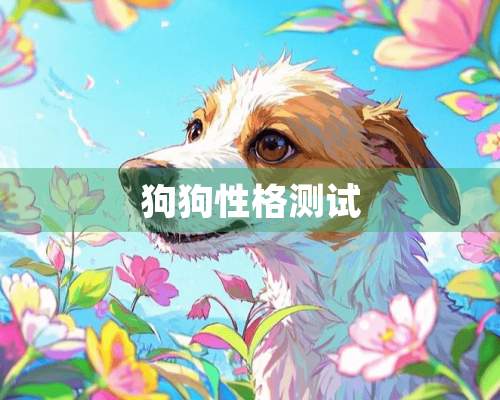 狗狗性格测试