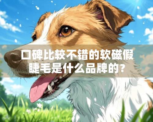 口碑比较不错的软磁假睫毛是什么品牌的？