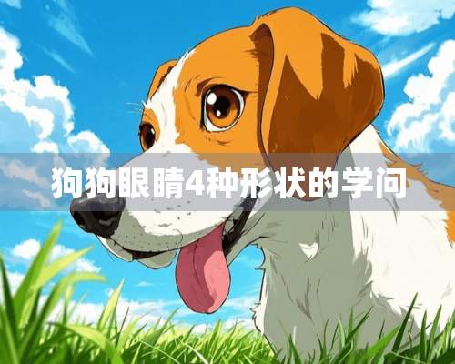 狗狗眼睛4种形状的学问