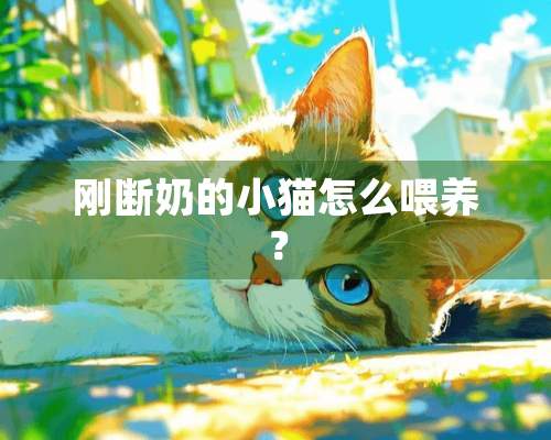 刚断奶的小猫怎么喂养？