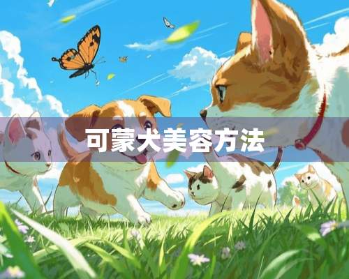 可蒙犬美容方法