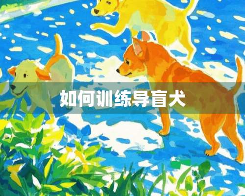 如何训练导盲犬