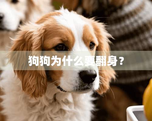 狗狗为什么要翻身？