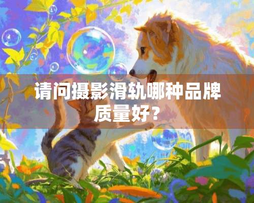 请问摄影滑轨哪种品牌质量好？