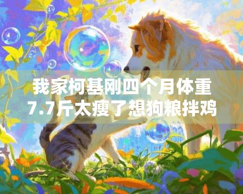 我家柯基刚四个月体重7.7斤太瘦了想狗粮拌鸡胸肉给他吃让她增肥点但是我不知道鸡胸肉一天喂多少？