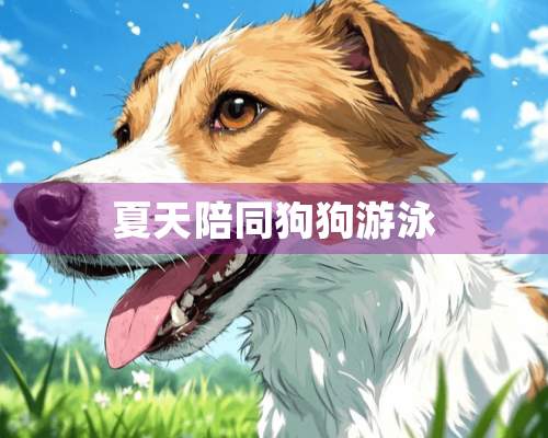 夏天陪同狗狗游泳