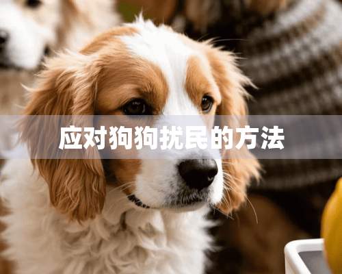 应对狗狗扰民的方法