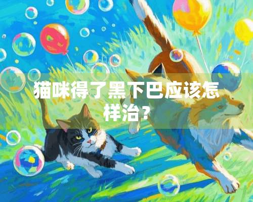 猫咪得了黑下巴应该怎样治？