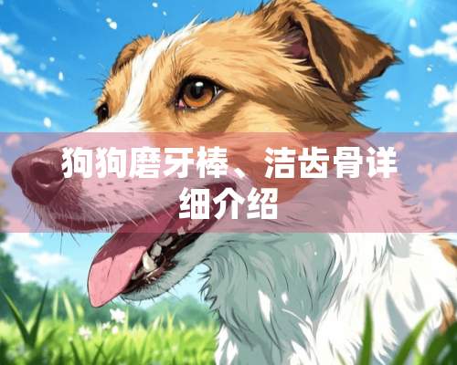 狗狗磨牙棒、洁齿骨详细介绍