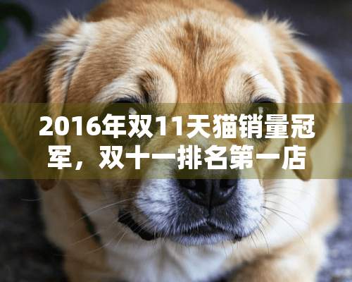 2016年双11天猫销量冠军，双十一排名第一店铺是谁