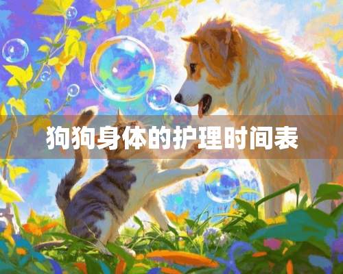 狗狗身体的护理时间表