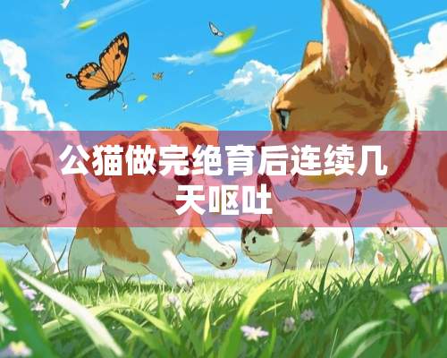 公猫做完绝育后连续几天呕吐