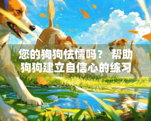 您的狗狗怯懦吗？ 帮助狗狗建立自信心的练习了解下