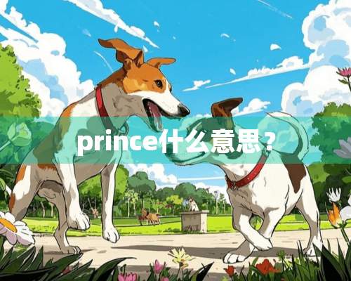 prince什么意思？