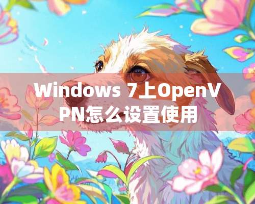 Windows 7上OpenVPN怎么设置使用