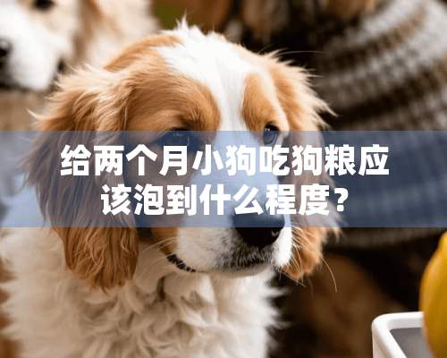 给两个月小狗吃狗粮应该泡到什么程度？