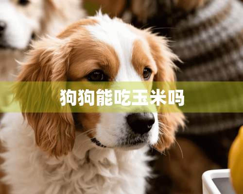 狗狗能吃玉米吗