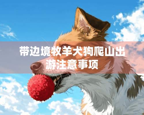 带边境牧羊犬狗爬山出游注意事项