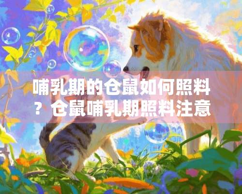 哺*期的仓鼠如何照料？仓鼠哺*期照料注意事项