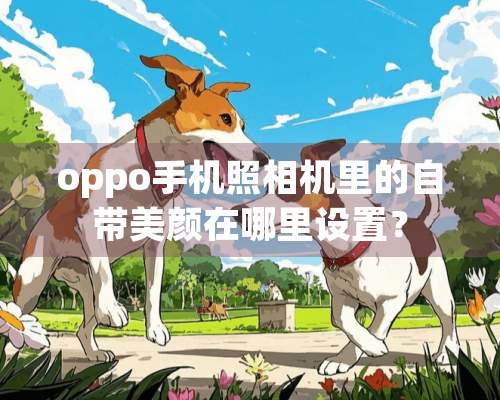 oppo手机照相机里的自带美颜在哪里设置？