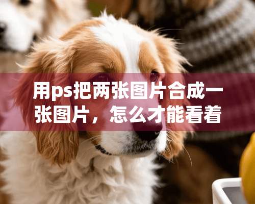 用ps把两张图片合成一张图片，怎么才能看着真实些？