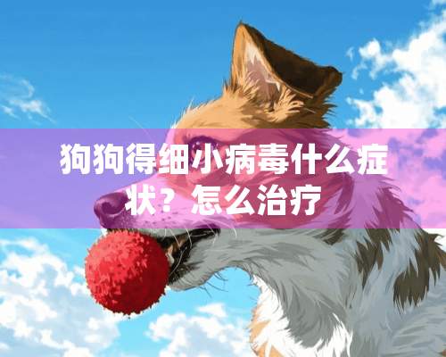 狗狗得细小病毒什么症状？怎么治疗