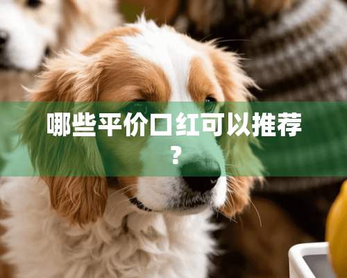 哪些平价口红可以推荐？