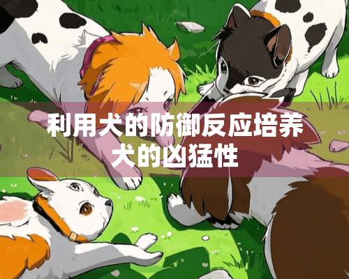 利用犬的防御反应培养犬的凶猛性