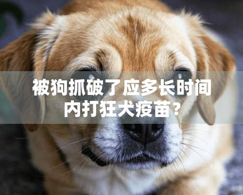 被狗抓破了应多长时间内打狂犬**？