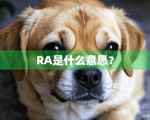 RA是什么意思？