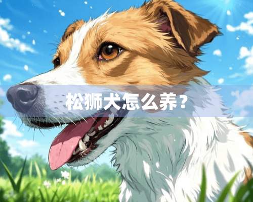 松狮犬怎么养？