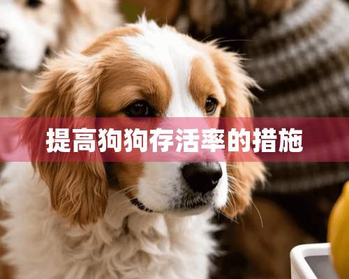 提高狗狗存活率的措施