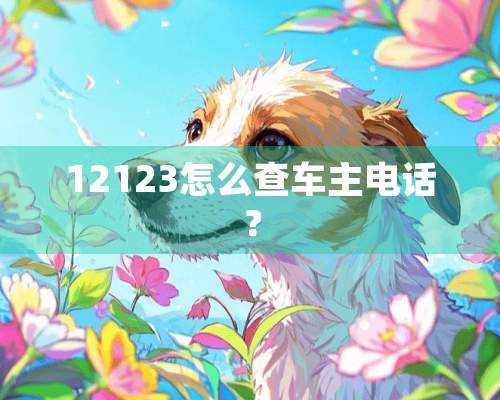 12123怎么查车主电话？