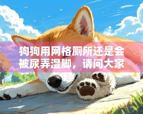 狗狗用网格厕所还是会被尿弄湿脚，请问大家是怎么解决的？