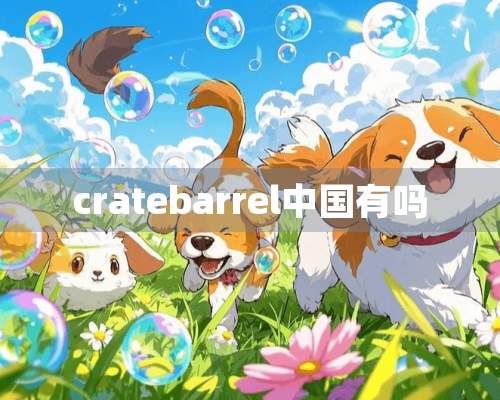 cratebarrel中国有吗