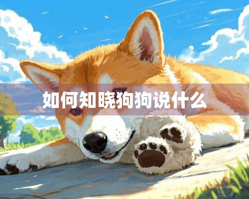 如何知晓狗狗说什么