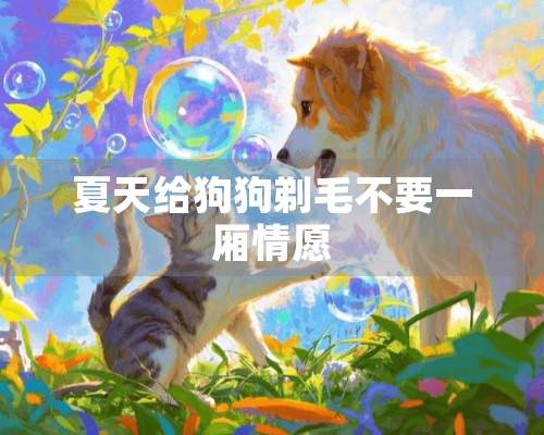 夏天给狗狗剃毛不要一厢情愿