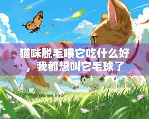 猫咪脱毛喂它吃什么好，我都想叫它毛球了